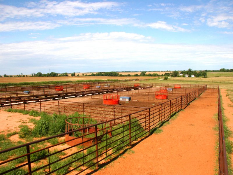 153 A. W/cattle Pens & Facilities : Custer City : Custer County : Oklahoma