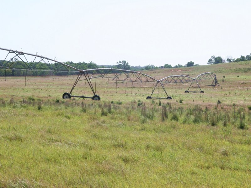 Grassland & Farmland : Colony : Washita County : Oklahoma