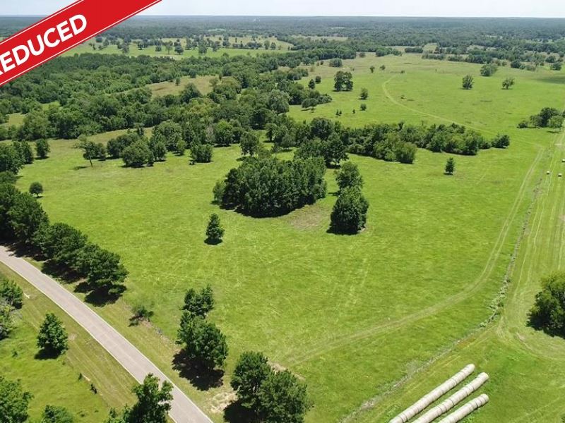 195 Acres in Montgomery, Texas : Montgomery : Montgomery County : Texas