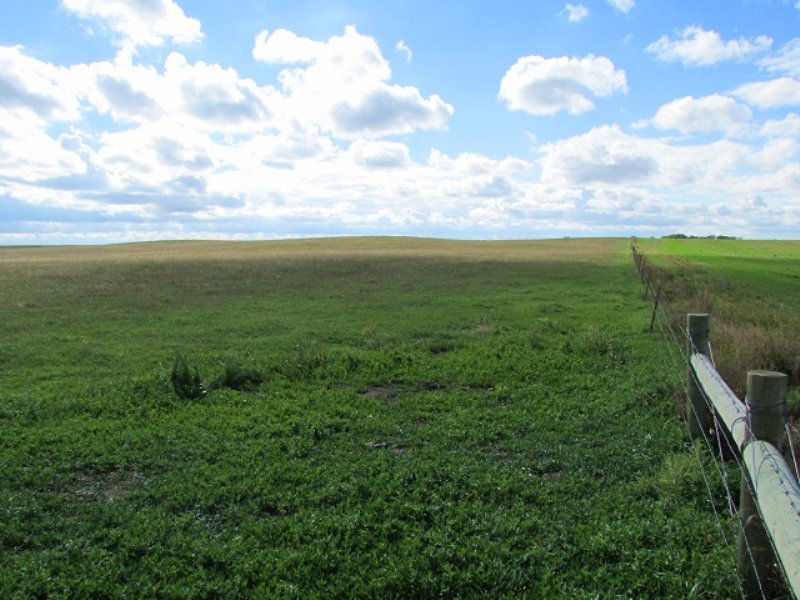 154.94+/- Acres Of Crop Land : Orient : Hand County : South Dakota