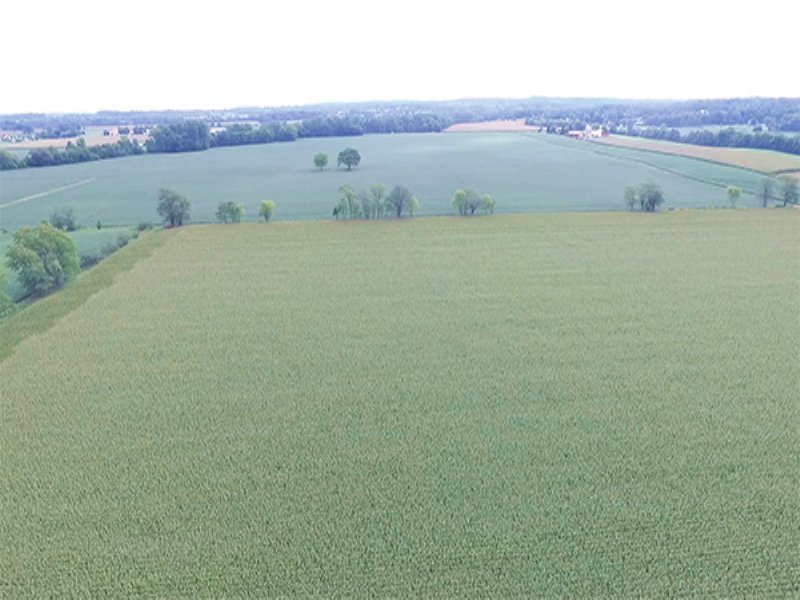 323 Acre Grain Farm : Canal Winchester : Franklin County : Ohio