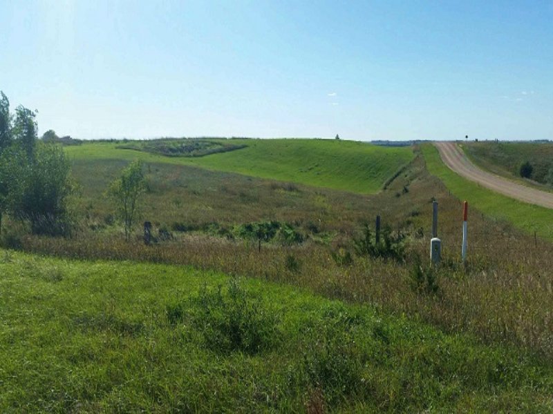 188.31+/- Acres Of Crop Land : Alexandria : Hanson County : South Dakota