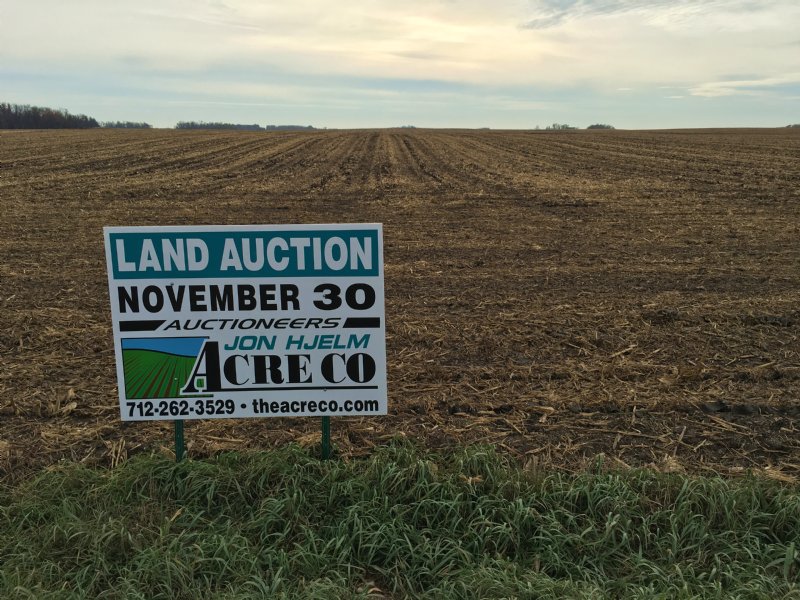 80 Acre All Tillable Farm : Ocheyedan : Osceola County : Iowa