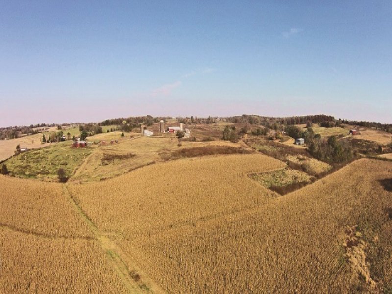 Master Commissioner Auction : Glasgow : Barren County : Kentucky
