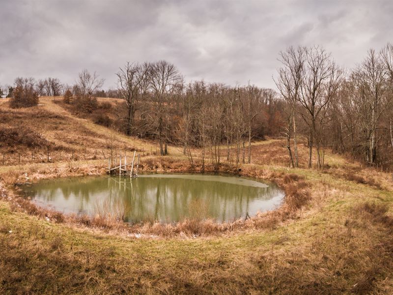 Muskingum County Land Auction : Chandlersville : Muskingum County : Ohio