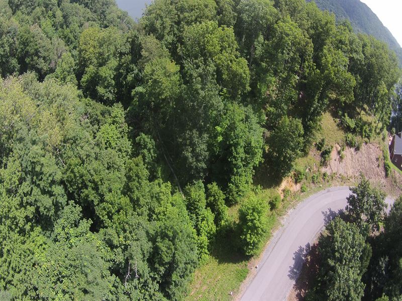 Cherokee Lake Lot at Bargain Price : Whitesburg : Hawkins County : Tennessee