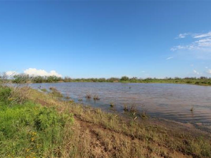Cattle Ranch Auction - 595 Acres : Electra : Wichita County : Texas