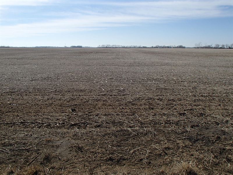 303.2 Acres - Sd Farm Land : Britton : Marshall County : South Dakota