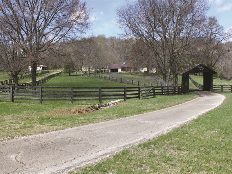 foreclosed homes in breckinridge county ky