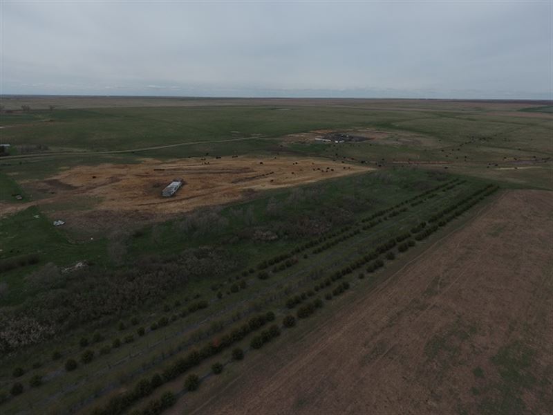 Land Auction in Hyde Co : Highmore : Hyde County : South Dakota