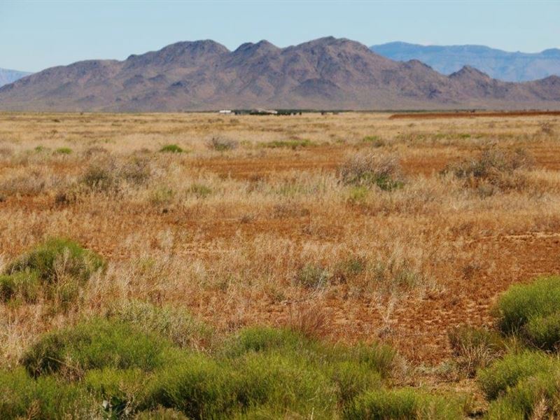 Court Ordered Bankruptcy Auction : Kingman : Mohave County : Arizona