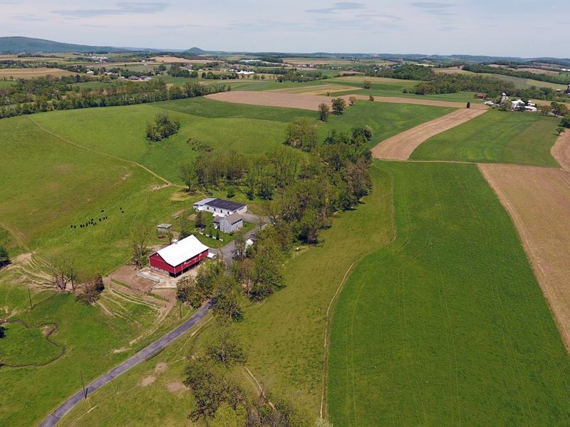 134.8 Acre PostcardPerfect Farm, Land Auction in Pennsylvania, 125772