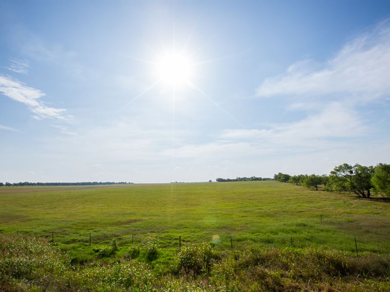 Beef Production Ranch : Dublin : Comanche County : Texas