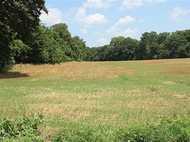Land Auction in Posey Co., In : New Harmony : Posey County : Indiana