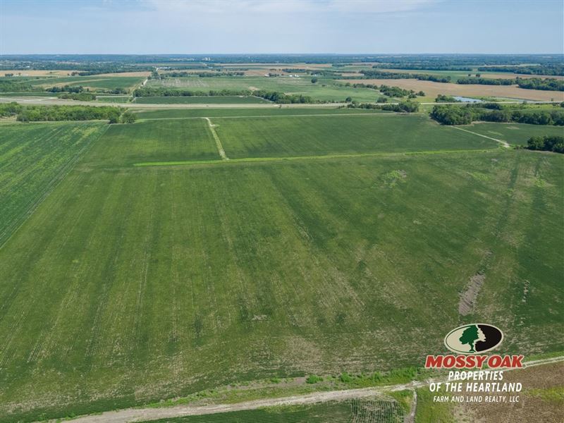 293 Verdigris River Bottom Acre : Neodesha : Montgomery County : Kansas
