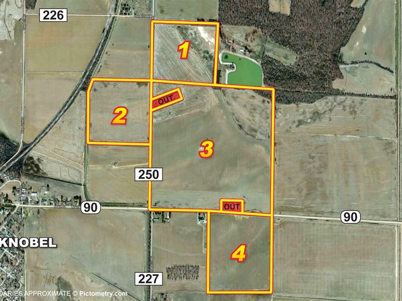 319 Acres Of Productive Farmland, Land Auction in Arkansas, 142765