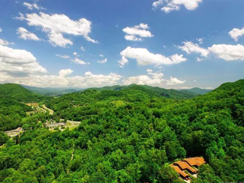 Name Your Price On 15 Mt Lots : Waynesville : Haywood County : North Carolina