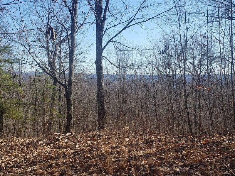 3.67 Acre Lot, Norris Lake Access : New Tazewell : Claiborne County : Tennessee