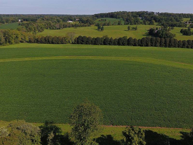 4 Preserved Mercer County Farms, Land Auction in New Jersey, 147668