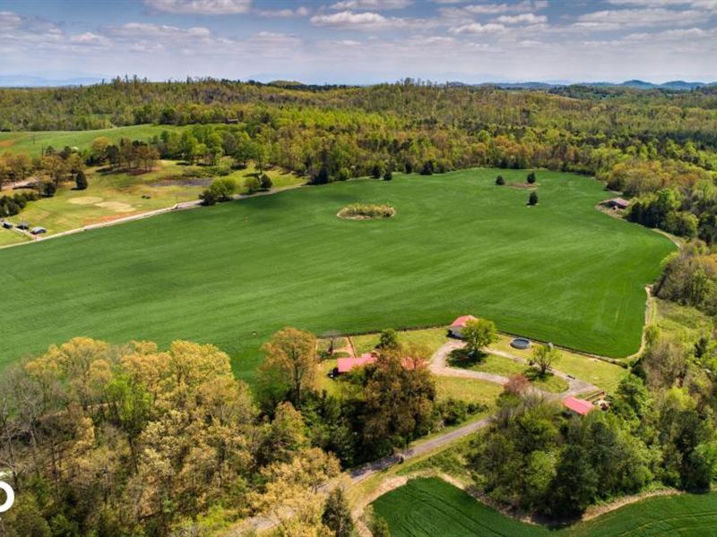East Tennessee Farm Auction : Philadelphia : Loudon County : Tennessee