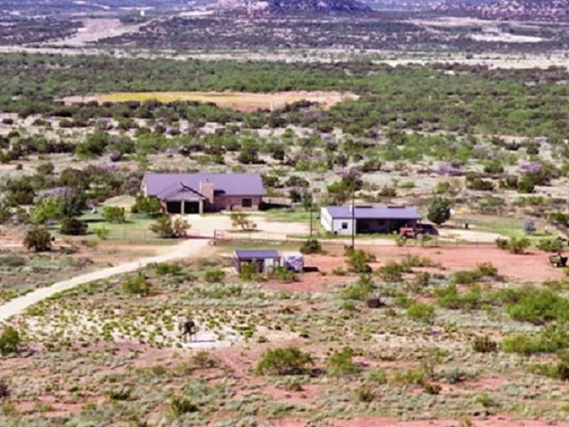 Turn-Key Game Ranch Auction, Land Auction in Texas, #154095