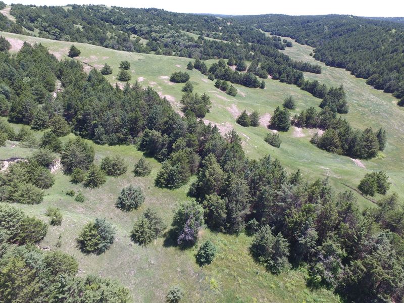 Jeffrey Lake Rangeland Auction, Land Auction in Nebraska, 156720