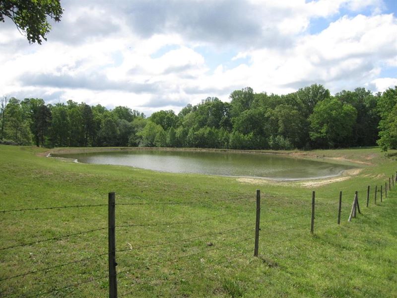 Auction, 102 AC Cattle Farm Birch : Keeling : Pittsylvania County : Virginia