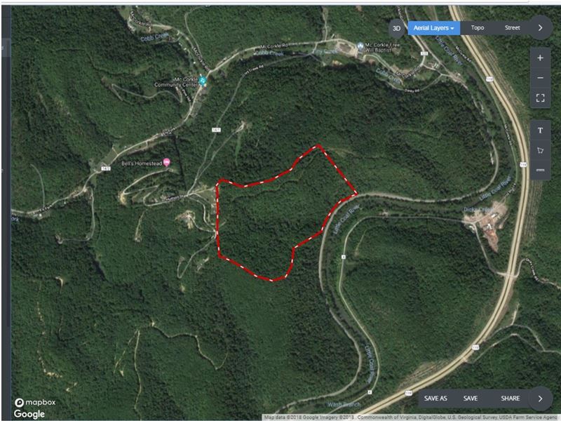 Real Estate Auction, Recreational, Land Auction in West Virginia