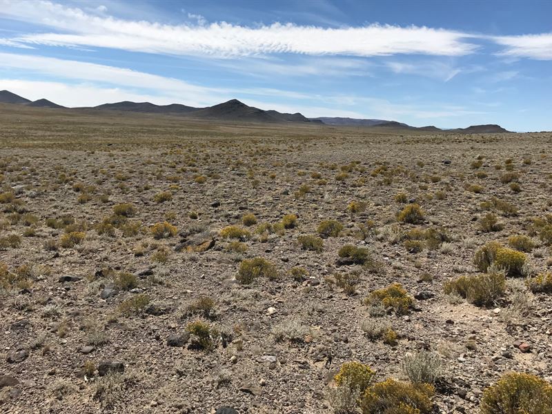 3,000 Acres Costilla County : Alamosa : Alamosa County : Colorado