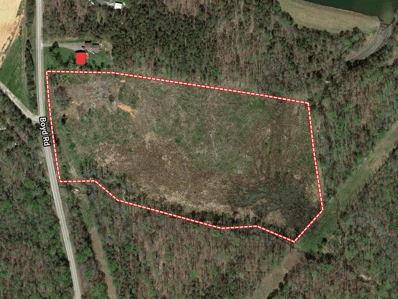 Auction, 16Ac Tract Lake Hunt Area, Land Auction in North Carolina