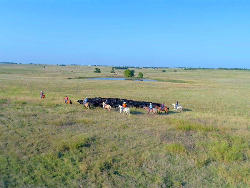 Rocking F Ranch for Sale At Auction : Soper : Choctaw County : Oklahoma