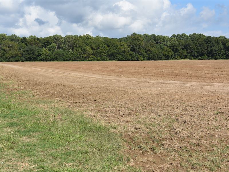 Major Virginia Land Auction : Tasley : Accomack County : Virginia