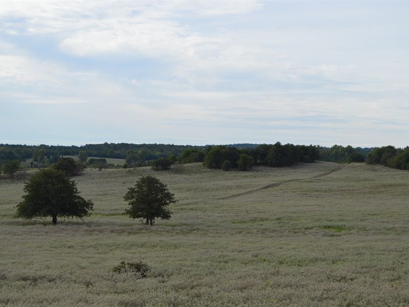 438 Acre Combination Ranch Auction : Cement : Caddo County : Oklahoma