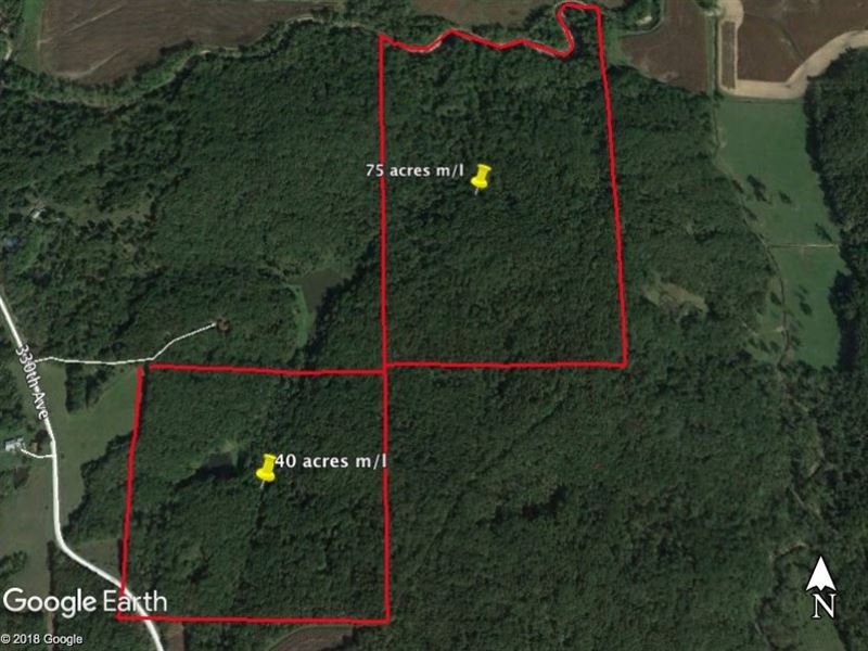 Clarke County Iowa Hunting Land : Woodburn : Clarke County : Iowa