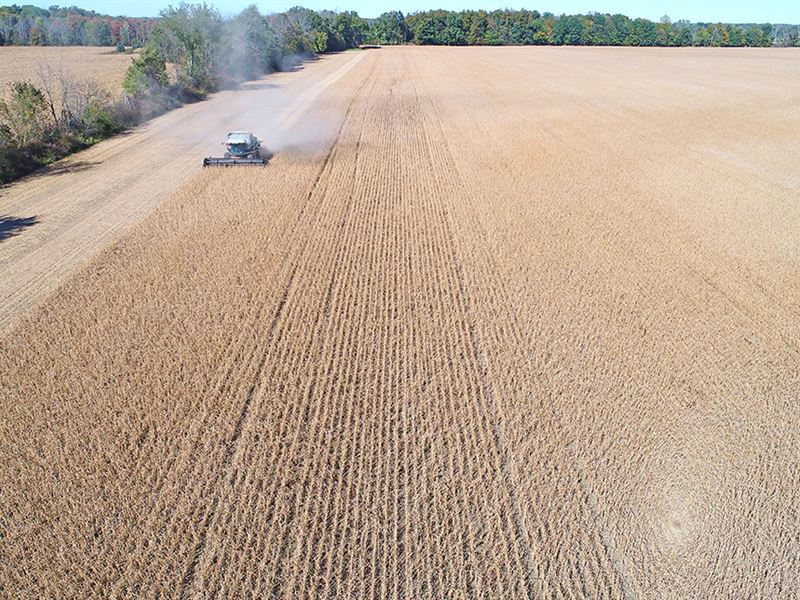 Tillable and Recreational Land : Iberia : Marion County : Ohio