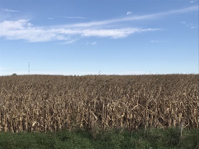Cropland & Pasture : Ayrshire : Palo Alto County : Iowa