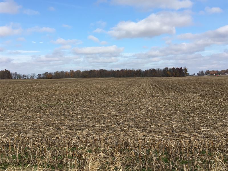 Productive Ohio Farmland with Woods : Arcanum : Darke County : Ohio