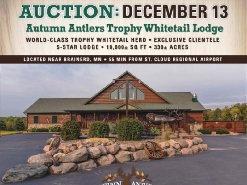 Online Only Auction Trophy : Long Prairie : Morrison County : Minnesota
