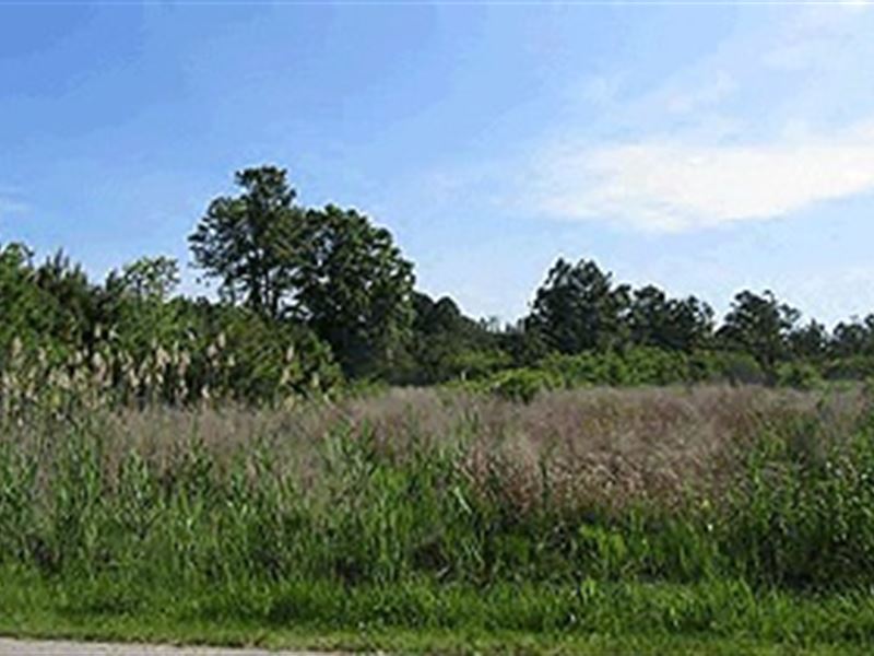 Residential Land in Hayes VA : Hayes : Gloucester County : Virginia