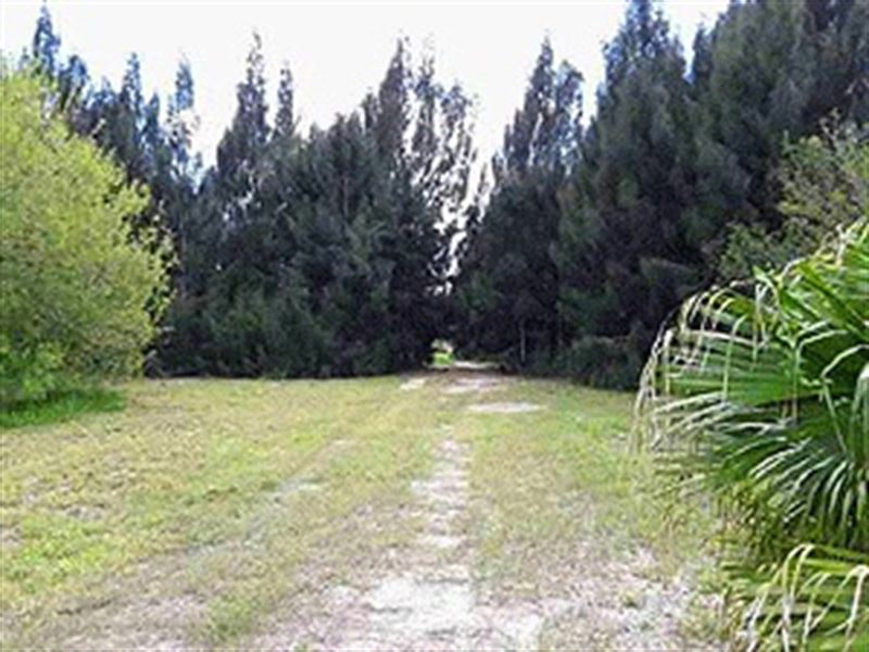Rural Land in Monte Alto Tx : Monte Alto : Hidalgo County : Texas