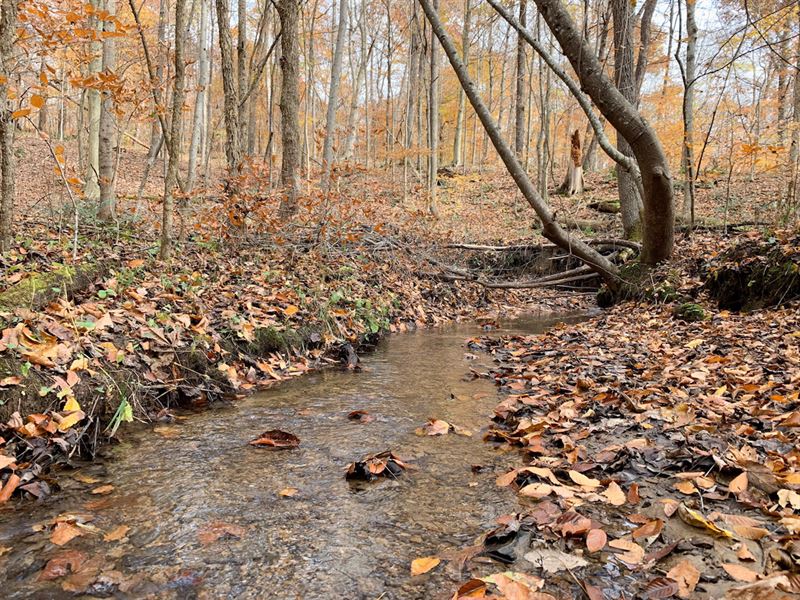 Auction, Lookout Rd, 236 Acres : Amanda : Hocking County : Ohio