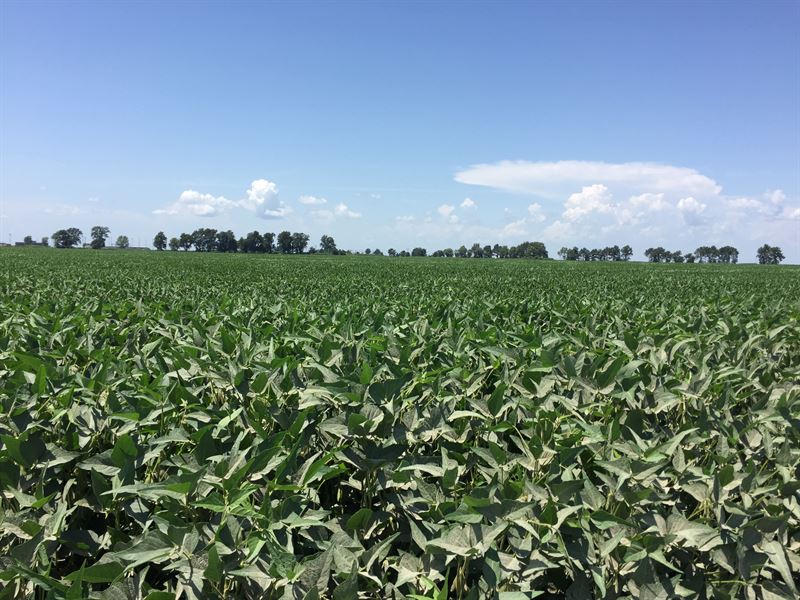Arkansas Cropland Investment : Osceola : Mississippi County : Arkansas