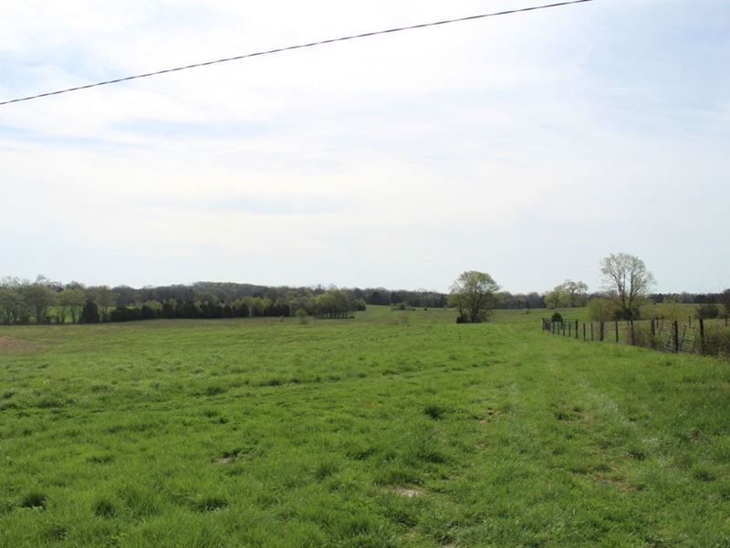 157 Acre Farm Auction Warren CO : Bowling Green : Warren County : Kentucky