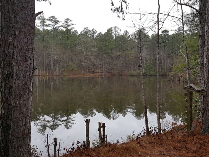 Higher and Better Use Timber Lake : Cataula : Harris County : Georgia
