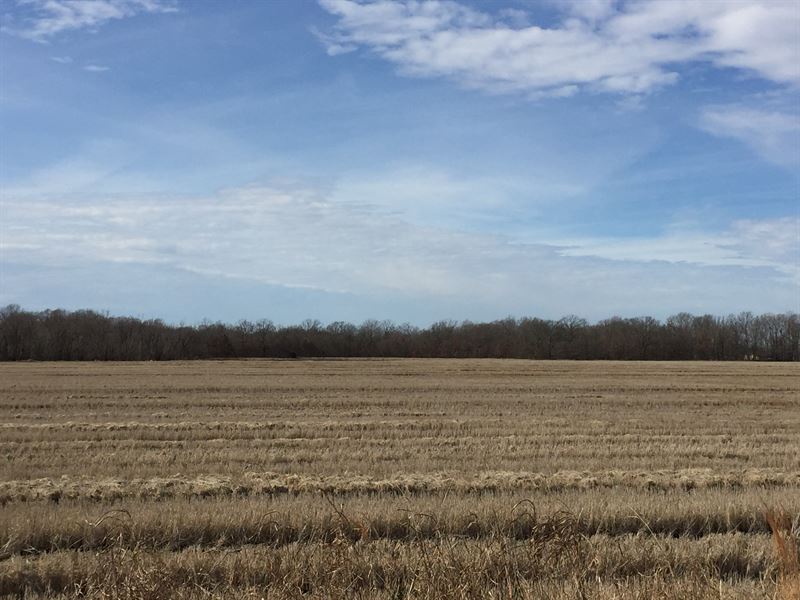 114.31 Farm and Recreational Land : Moro : Lee County : Arkansas