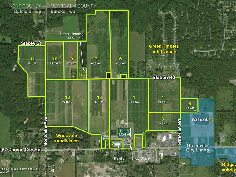 Orchard Offered in 13 Tracts, Land Auction in Michigan, 187639