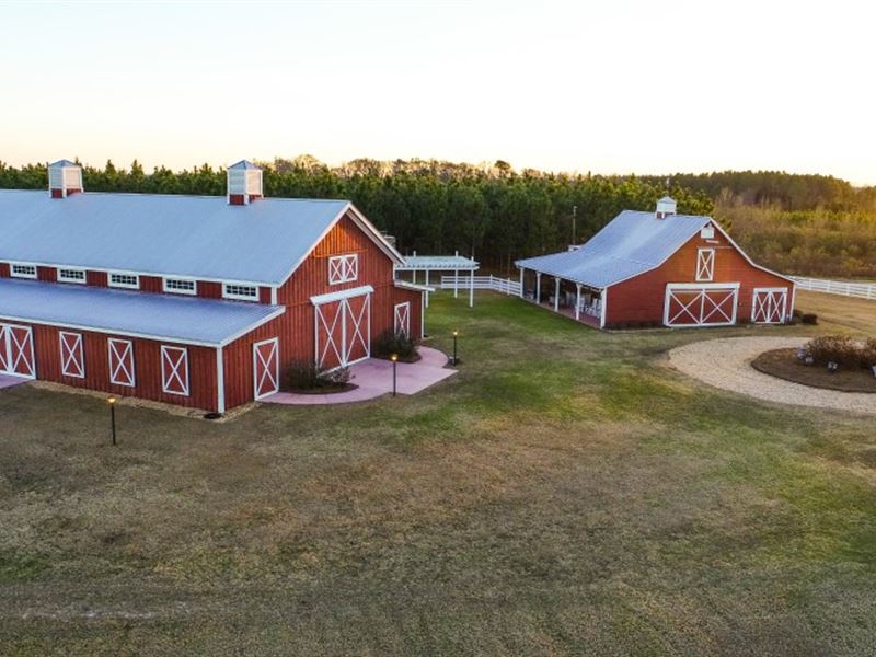 Twin Oaks Farm Retirement Auction : Hawkinsville : Pulaski County : Georgia
