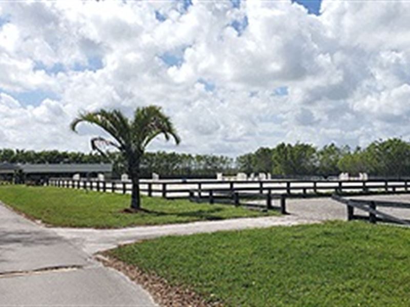 Horse Ranch with Home : Wellington : Palm Beach County : Florida