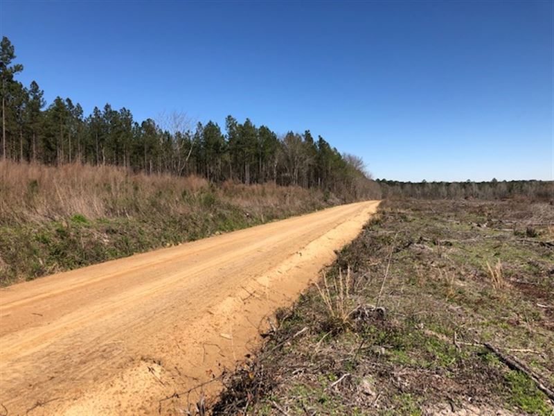 182 Acres From Billy Knight Estate : Soperton : Treutlen County : Georgia