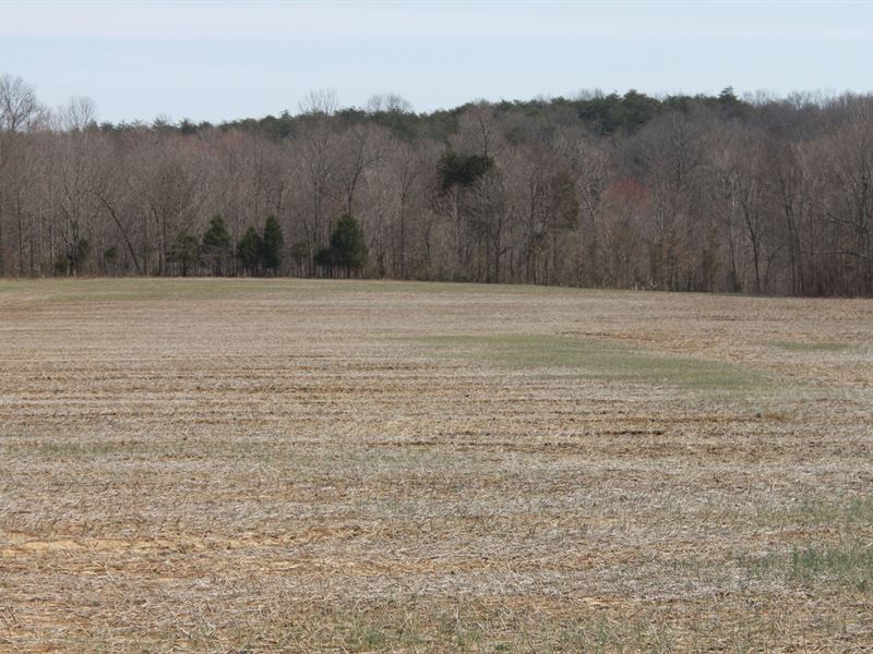 91.52 Acres Crop, Hunting & Woods : Bowling Green : Warren County : Kentucky